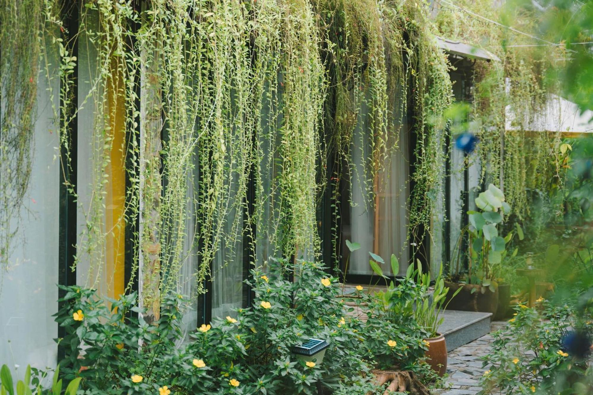 Ben Do Xua Homestay & Coffee Cai Rang Buitenkant foto