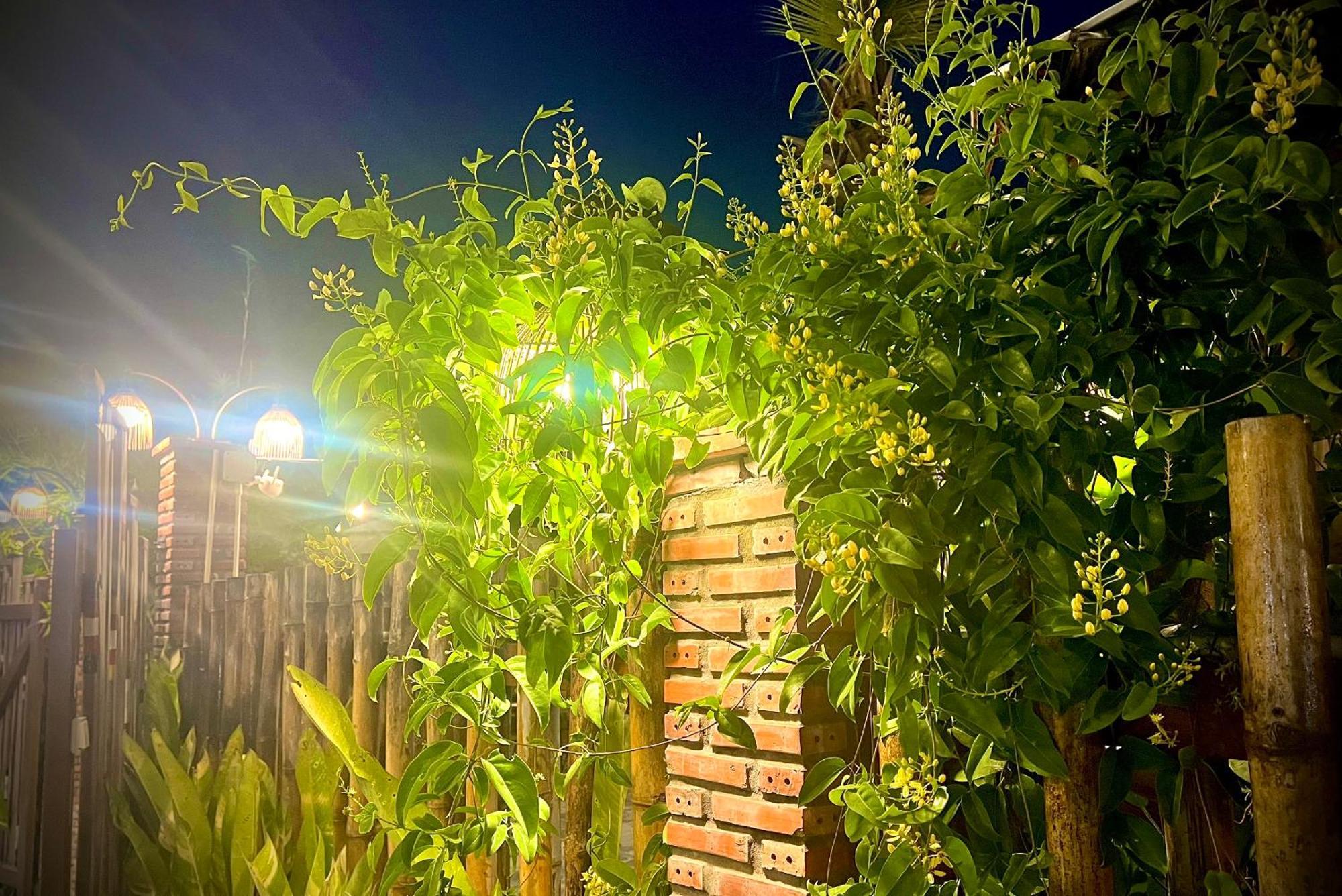 Ben Do Xua Homestay & Coffee Cai Rang Buitenkant foto