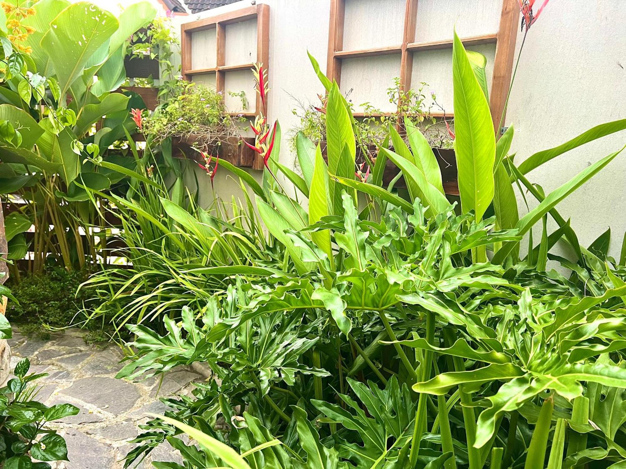 Ben Do Xua Homestay & Coffee Cai Rang Buitenkant foto